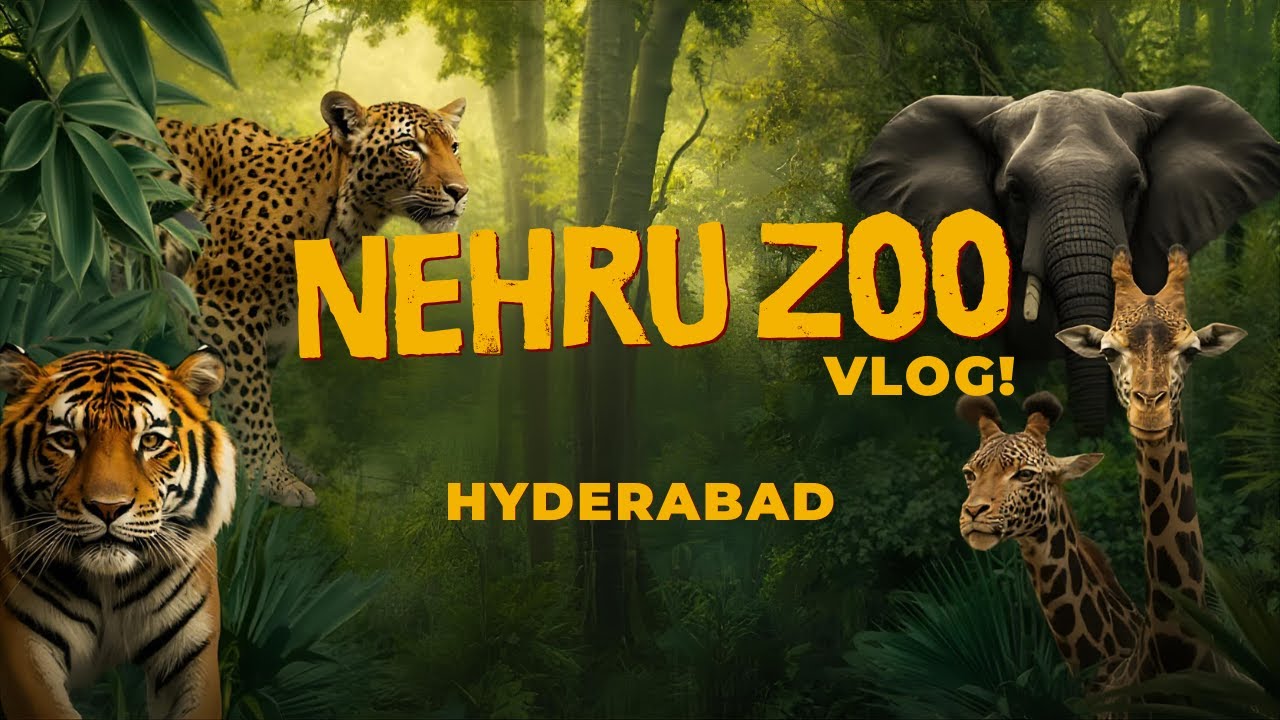 Hyderabad’s Biggest Zoo Experience! | Nehru Zoological Park Vlog 2025