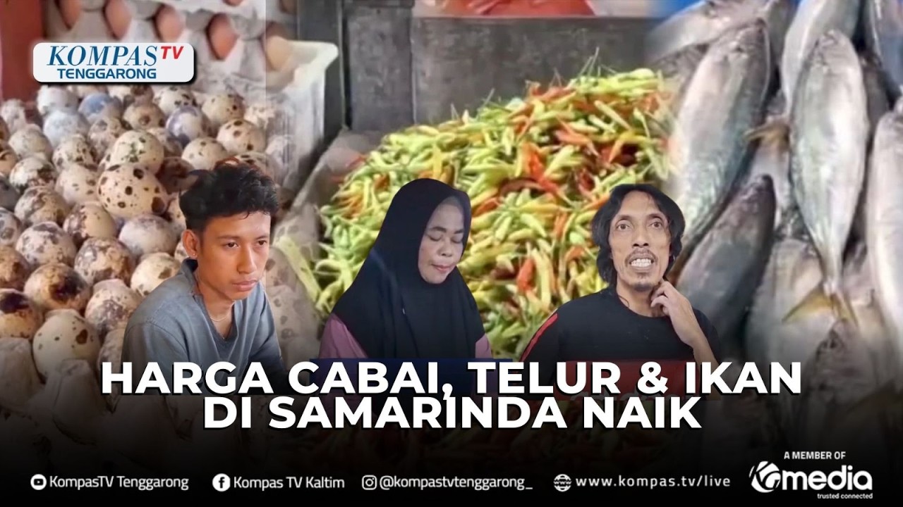 Harga Cabai, Telur & Ikan Di Samarinda Naik