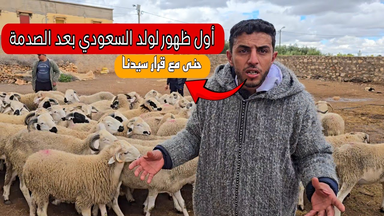 اول ظهور لولد السعودي بعد الصدمة من شرى 100 حولي بثمن يفوق 3800 درهم