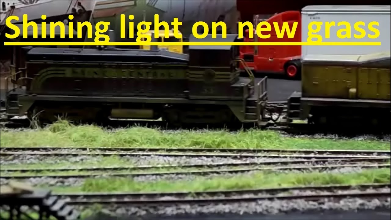 More grass, more light, more better.