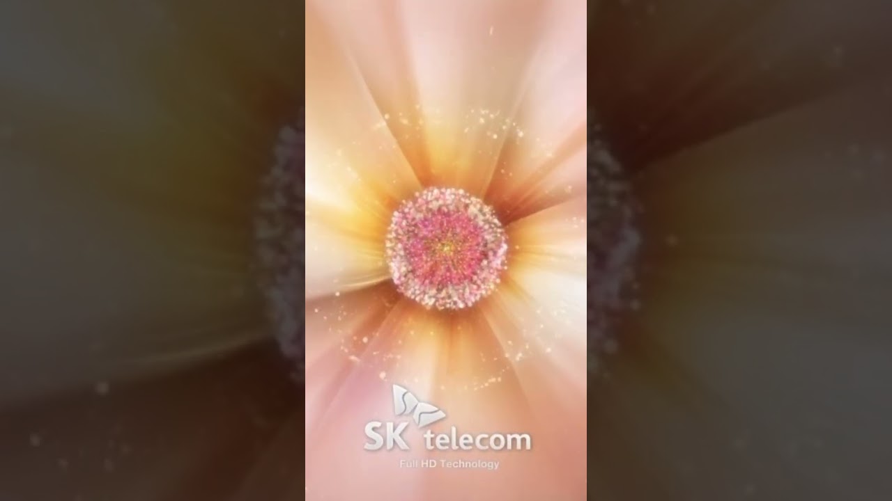 Samsung Galaxy Models (Sk Telecom) Startup and Shutdown Part 1