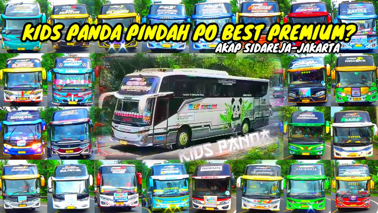 KUMPULAN KLAKSON TELOLET BASURI TERBARU KIDS PANDA PINDAH PO KE BEST PREMIUM? RUTE SIDAREJA-JAKARTA