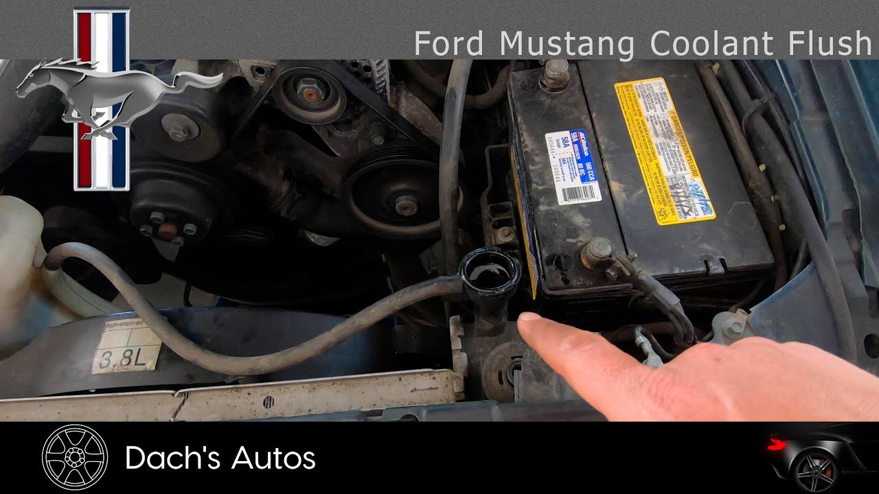 Промывка охлаждающей жидкости Ford Mustang SN95 1998 года: У МЕНЯ ЧУВСТВУЮТСЯ РАЗУМНЫЕ УМЕНИЯ?