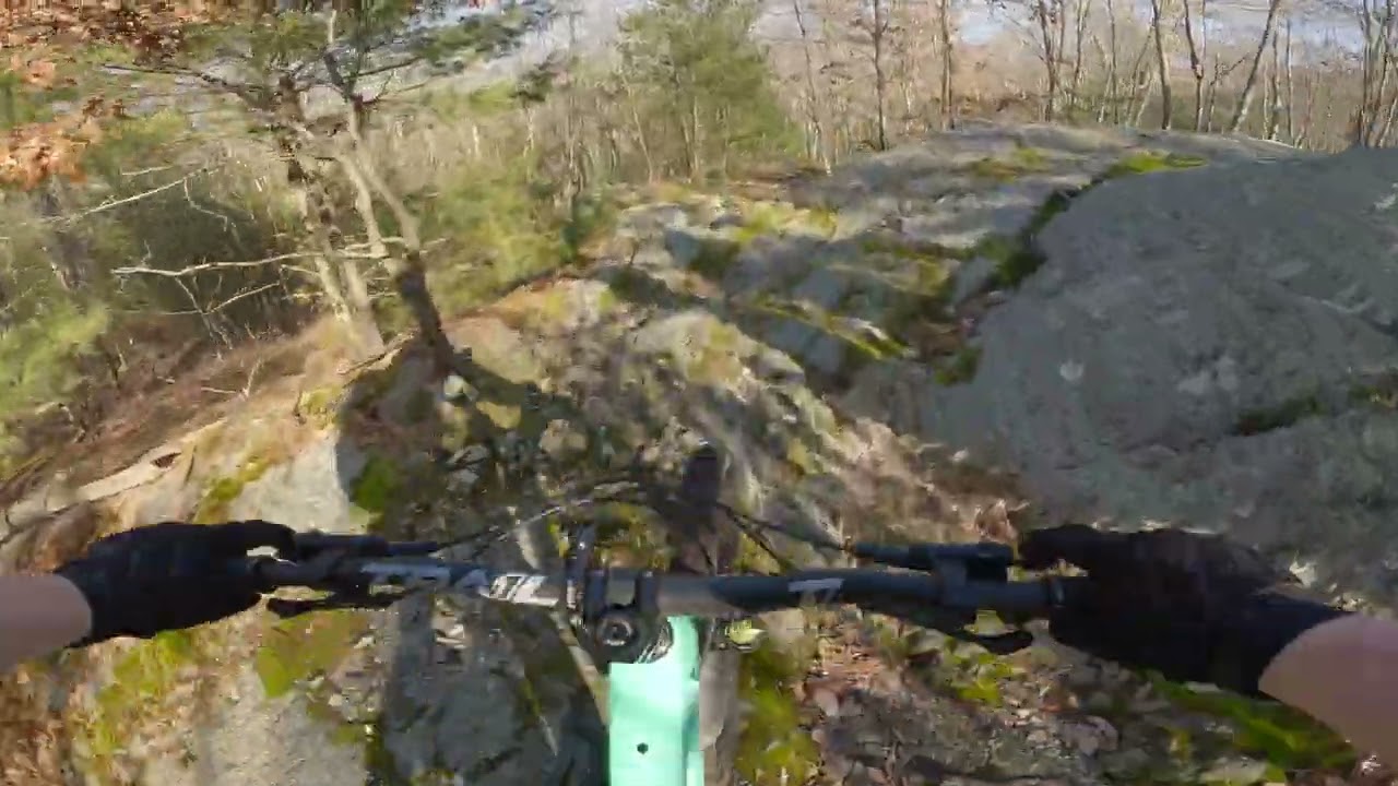 Needham Town Forest: Tapeworm Trail - Full Trail POV