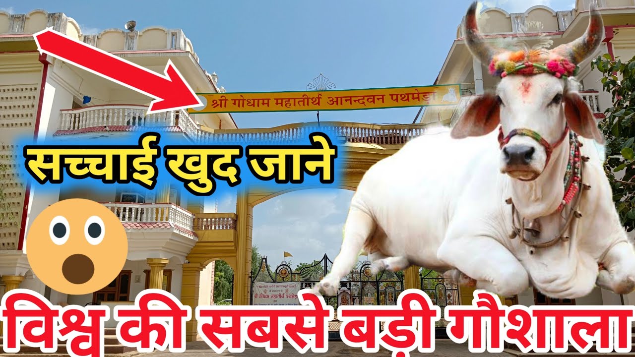 पथमेड़ा गौशाला सांचौर (जालौर) राजस्थान | pathmeda gaushala Sanchore (Jalore) Rajasthan