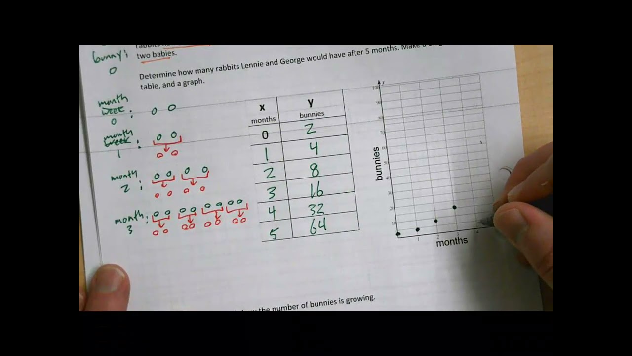 5.1.1 How does the pattern grow?