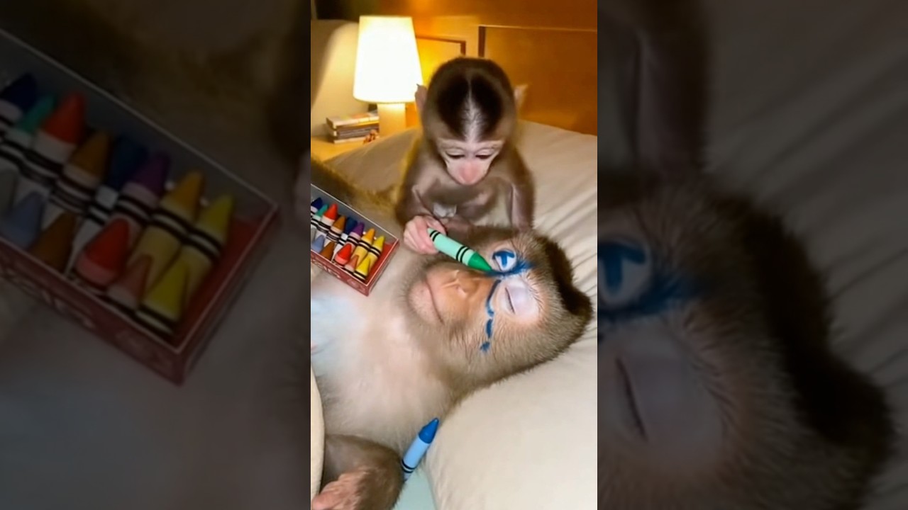 Mom had enough👿👿👿#mom #funny #monkey #fyp