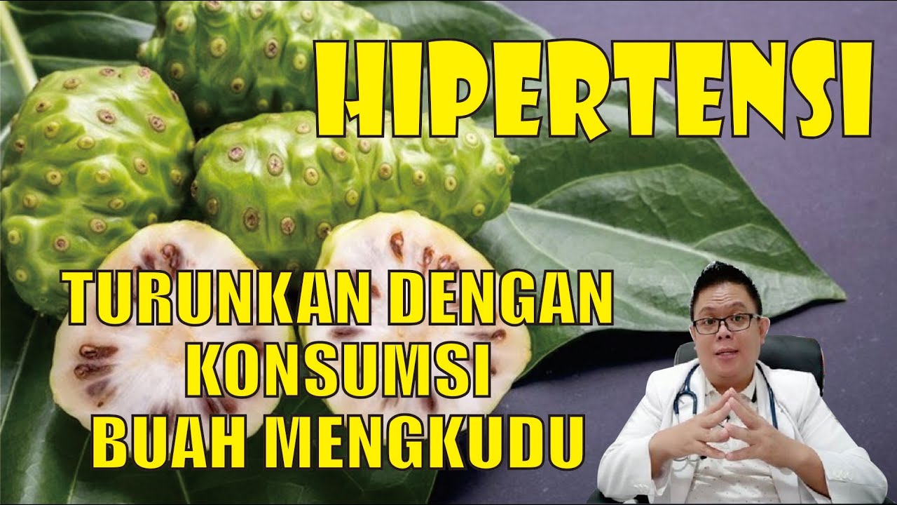 MANFAAT MENGKUDU UNTUK MENURUNKAN TEKANAN DARAH TINGGI