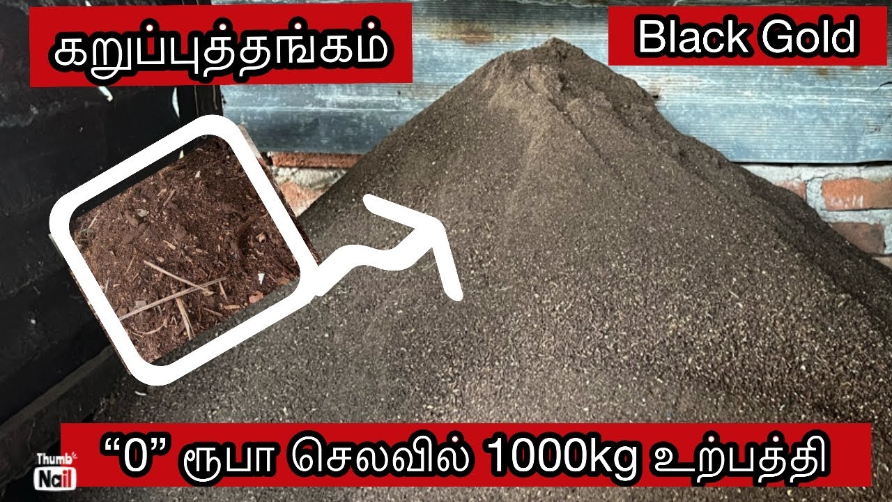 💛How To Make Compost Fast and Easy in Tamil | “0”ரூபா செலவில் 1000kg உற்பத்தி#கறுப்புத்தங்கம்