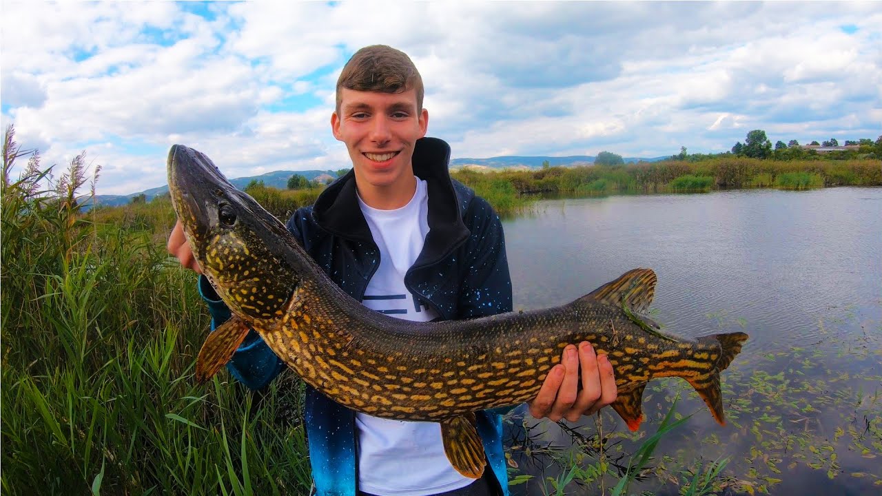 Jesenje varalicarenje stuke -Janko ih razbio !!! Autmn Pike fishing at the lake on silicon lures