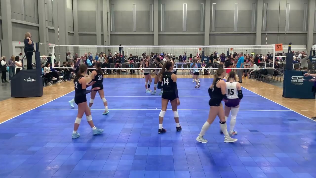 501 16.1 vs MVP 16 Blue