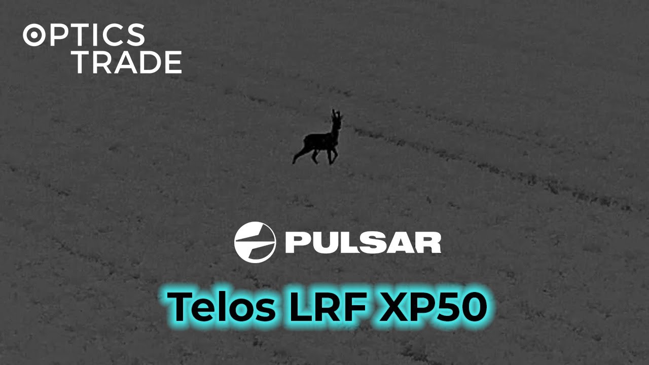 Roe Deer with Pulsar Telos LRF XP50 | Optics Trade See Through