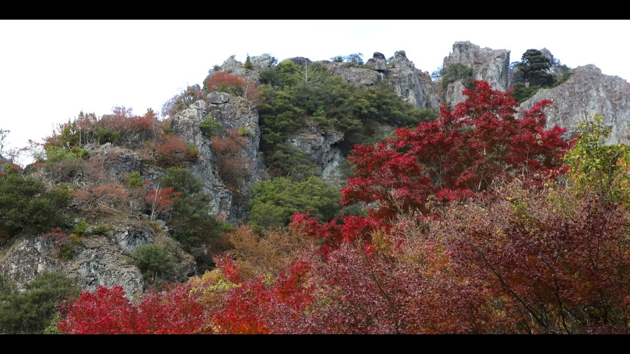 2025.11.24 紅葉の寒霞渓（香川県小豆島）