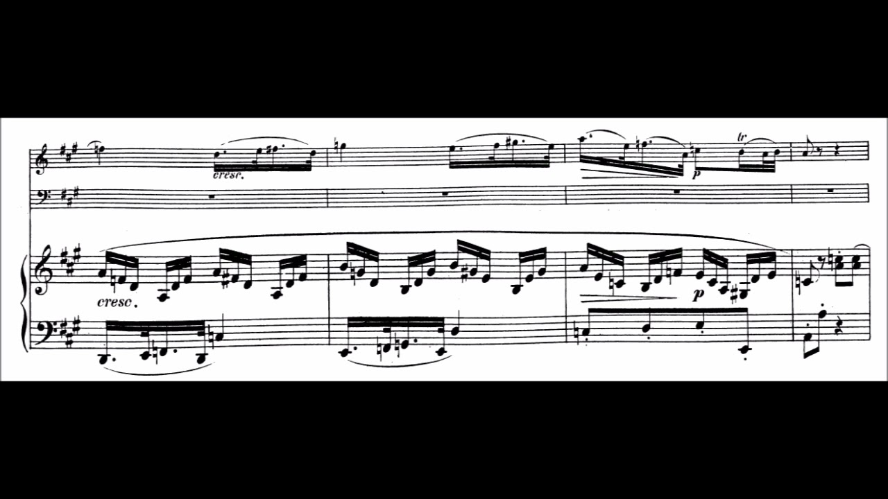 W. A. Mozart - Piano Trio E major KV 542 - Wiener Schubert Trio