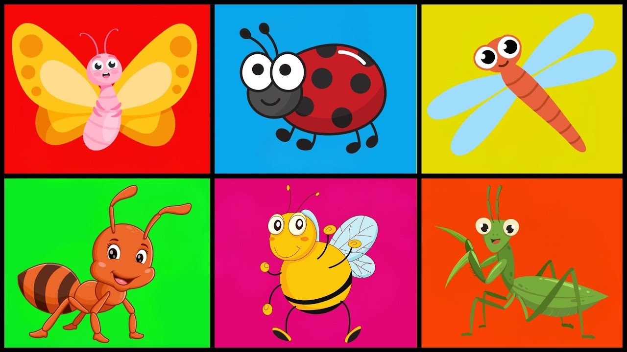 🔴🐝🦋🐜 🐞 Insectos para Niños 👧👦 | Aprende Nombres y Sonidos 🐛🕷️🌈 📚🎶✨ | Aprende con Gael y Owen