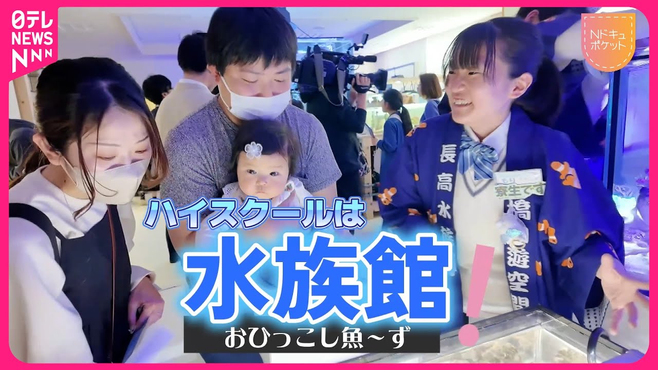【NNNドキュメント】高校の中に2000匹 !? 魚愛溢れる