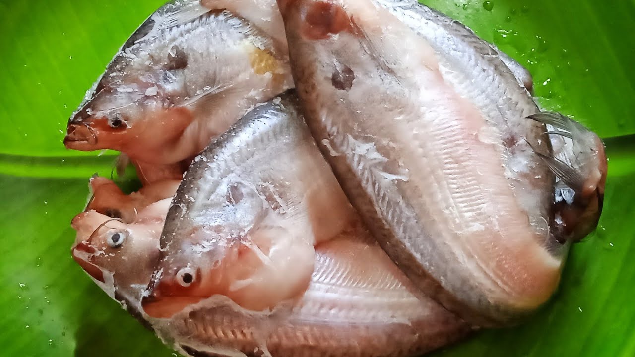 কিভাবে খুব তাড়াতাড়ি মাছে থেকে বরফ আলাদা করে|Frozen Fish Thaw It in Minutes and Keep It Delicious!