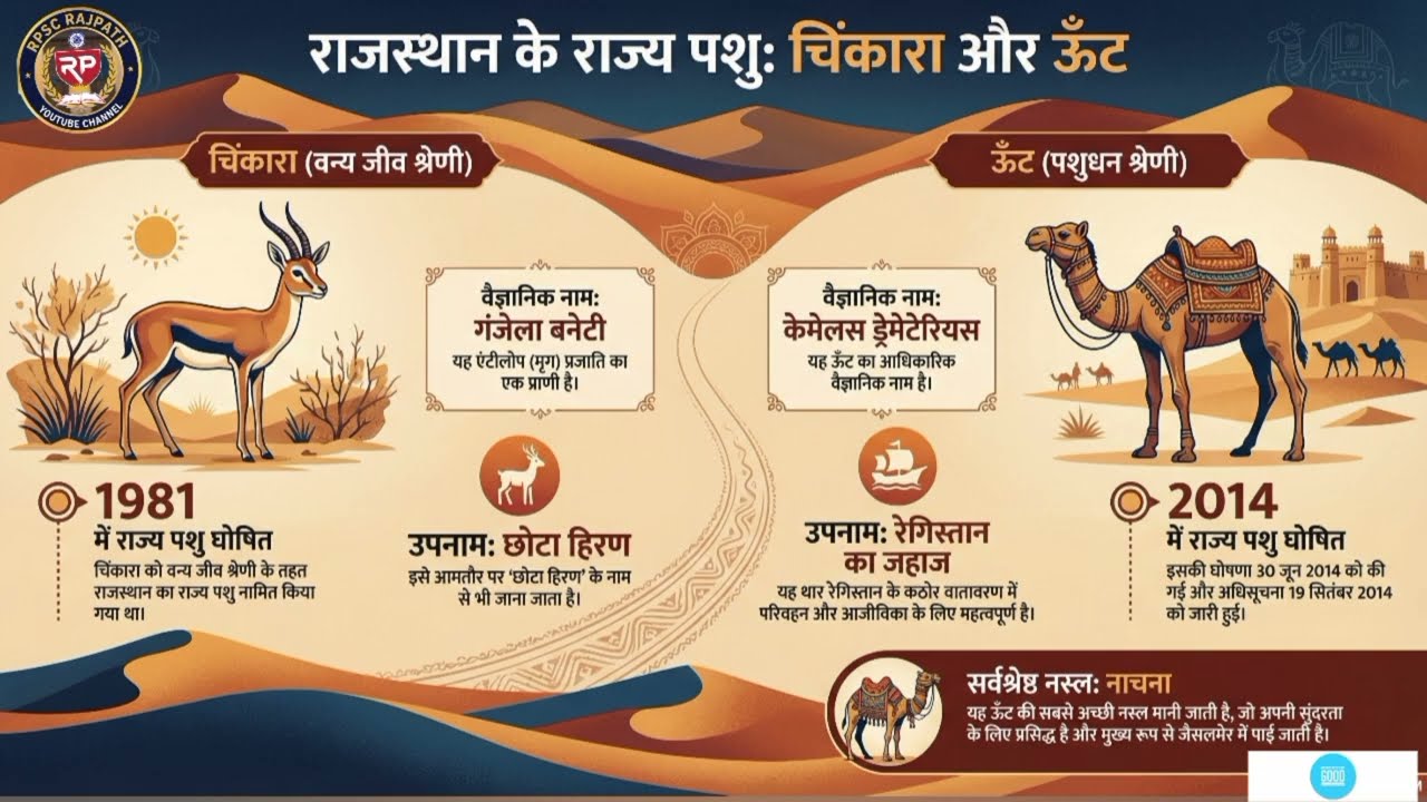 राजस्थान के प्रतीक चिन्ह (Rajasthan Symbols) REET MAINS GK ||(Movie Style)