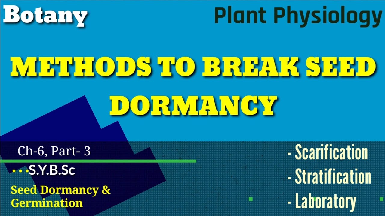 SYBSc|Ch-6(P3)| Methods to Break Seed Dormancy | Scarification Technique | Stratification Treatment