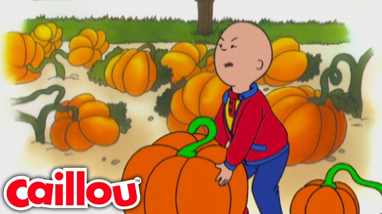Pompoen Patch Kid | Caillou Nederlands - WildBrain | Leren voor kinderen