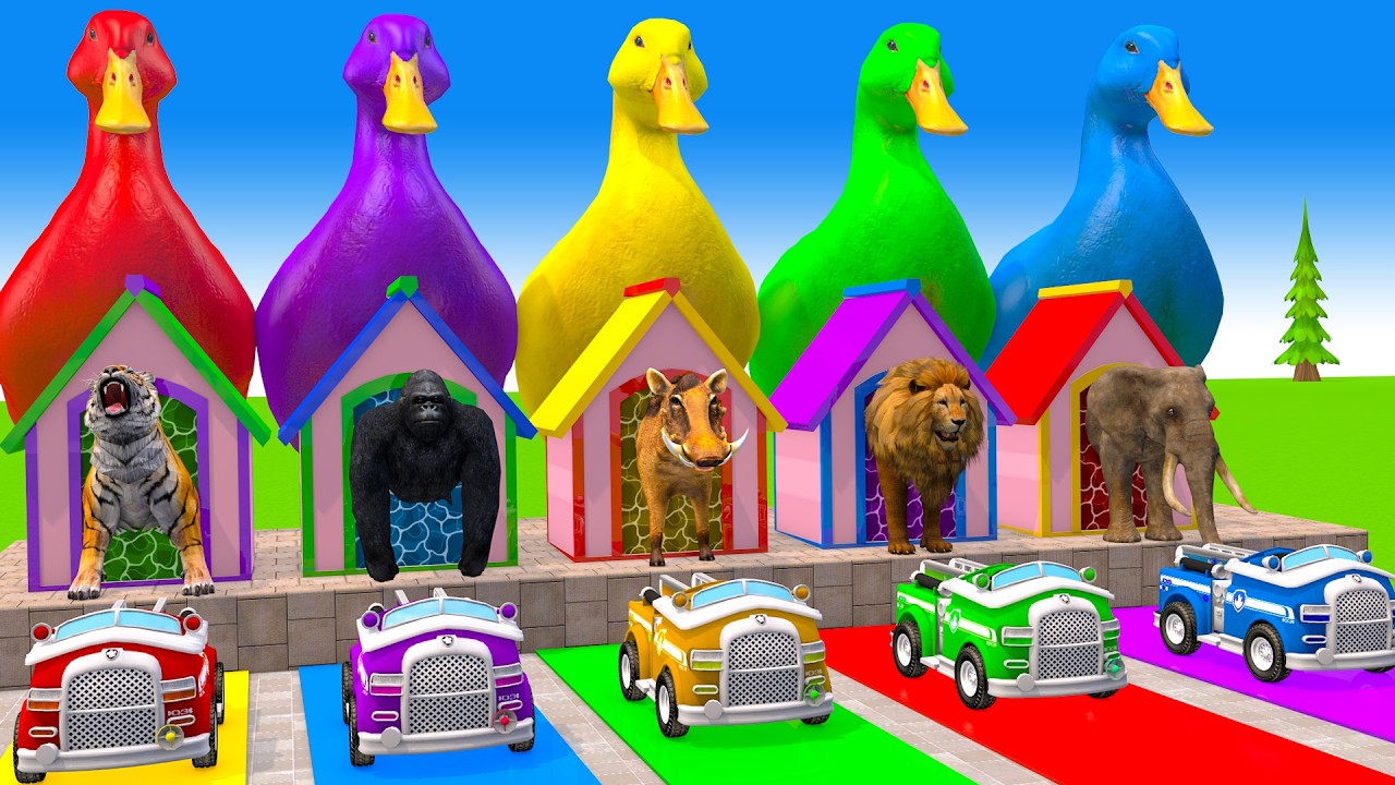 Long Slide Game With Cow Elephant Gorilla Hippopotamus Tiger 3d Animal Game Funny 3d Animals