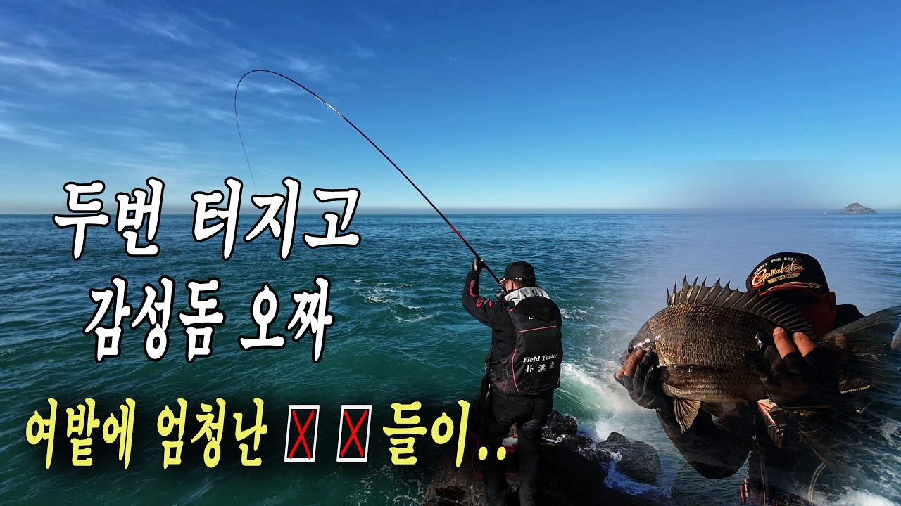 가거도 여밭에서 펼친 오짜 감성돔과 대물  4K  #바다낚시 #감성돔낚시 #가거도낚시  #오짜감성돔 #여밭 낚시#대물 #전진호