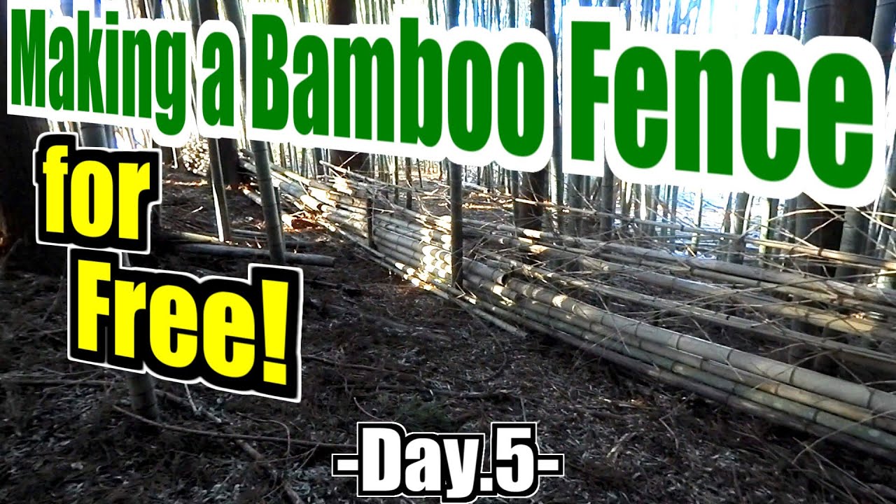 Making a Bamboo Fence for Free -Day.5-