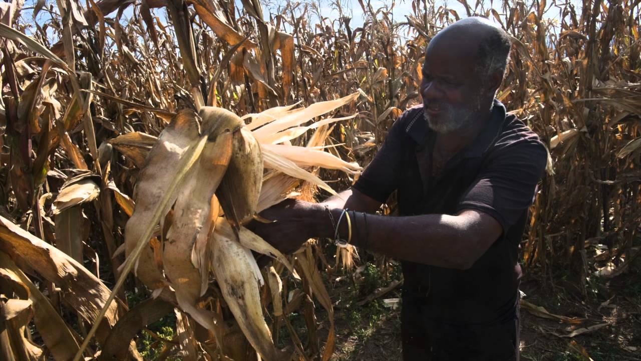 Interview with Paul Mapfumo (University of Zimbabwe) at the Agroecology Symposium