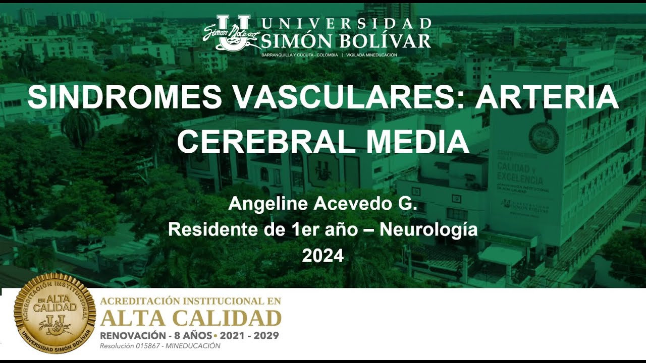 S&iacute;ndromes vasculares: Arteria Cerebral Media