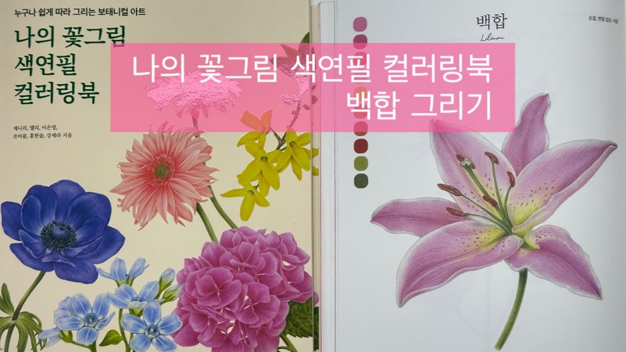 초보자를 위한 꽃그림, 제니리와  함께 실시간으로 그려요!