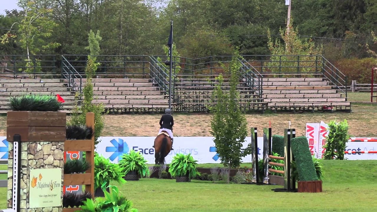 Slim 2015 4 Year Old Young Horse Finals - Thunderbird