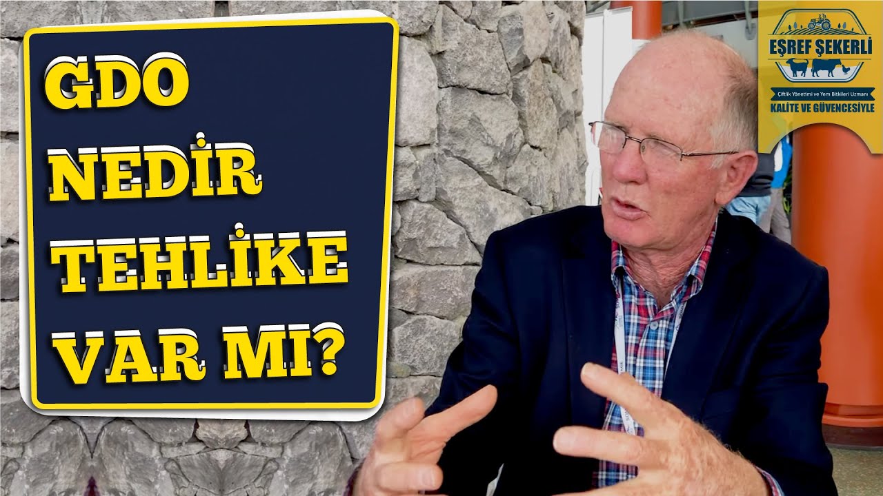 GDO Nedir, Gerçekten Tehlikeli mi?