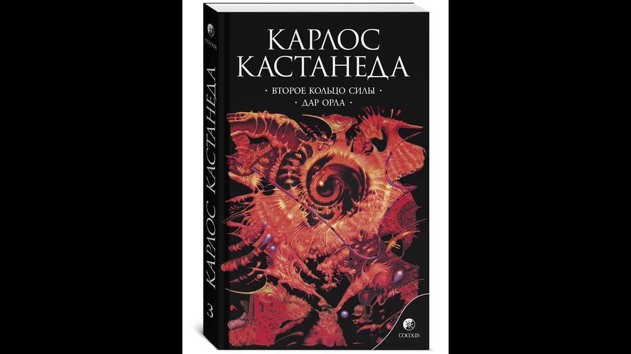 3 часть ПЯТОЙ книги- Преображение доньи Соледат