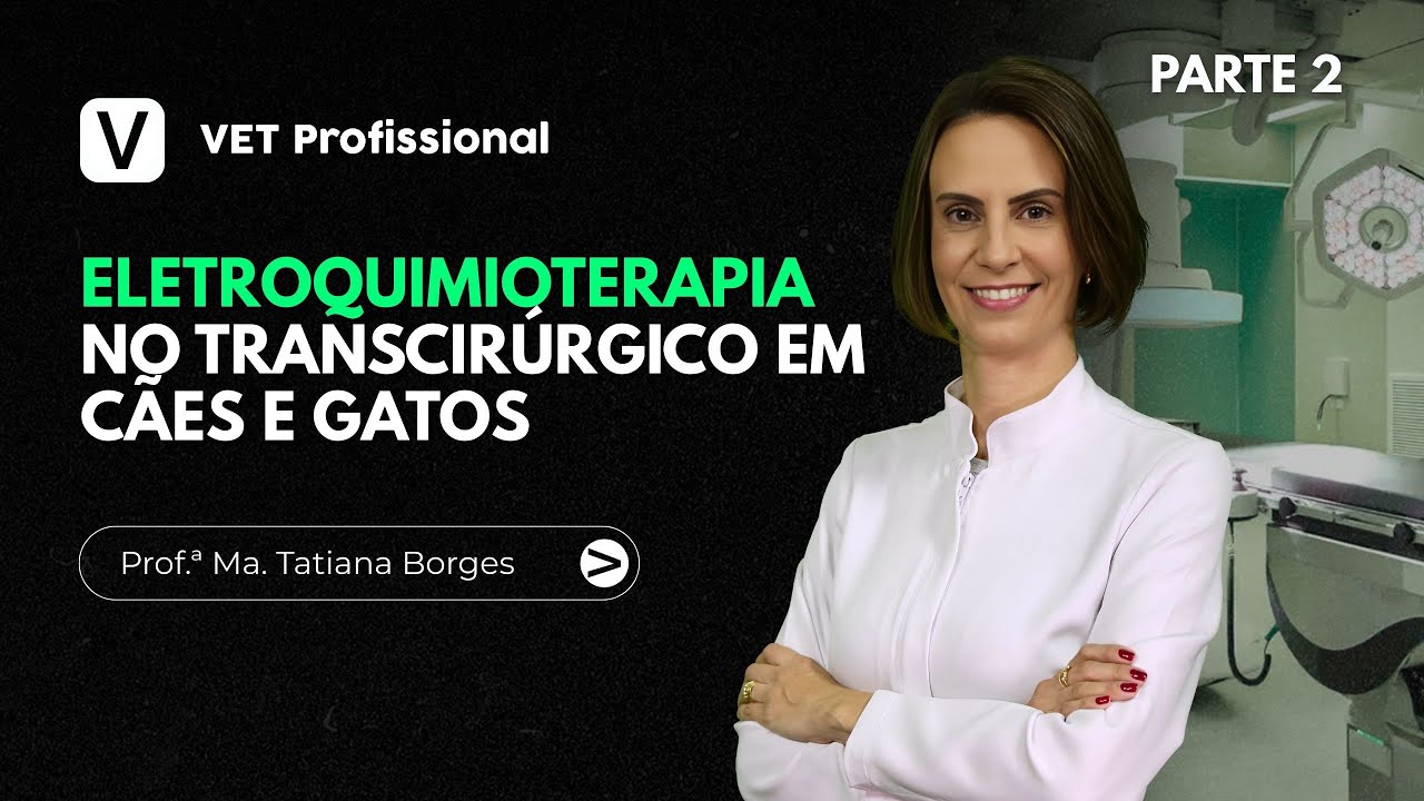Eletroquimioterapia no Transcirúrgico em Cães e Gatos - Parte II | VET Profissional