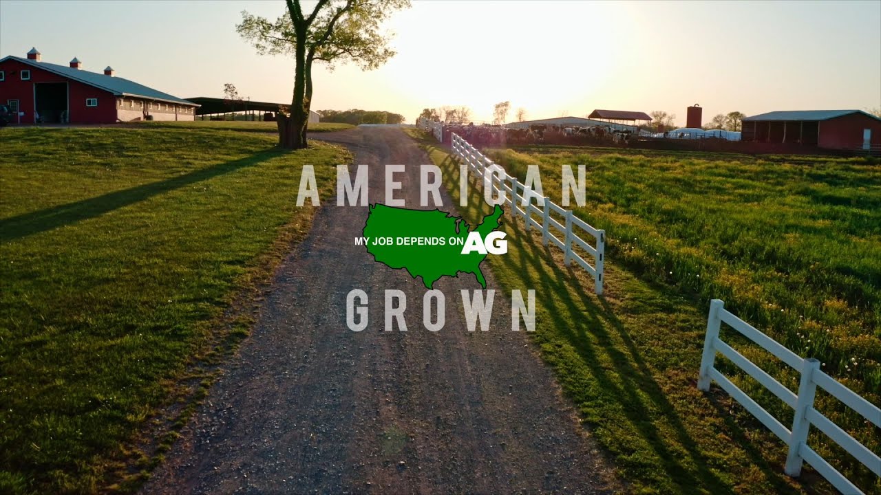 American Grown: My Job Depends on Ag | Women in Ag
