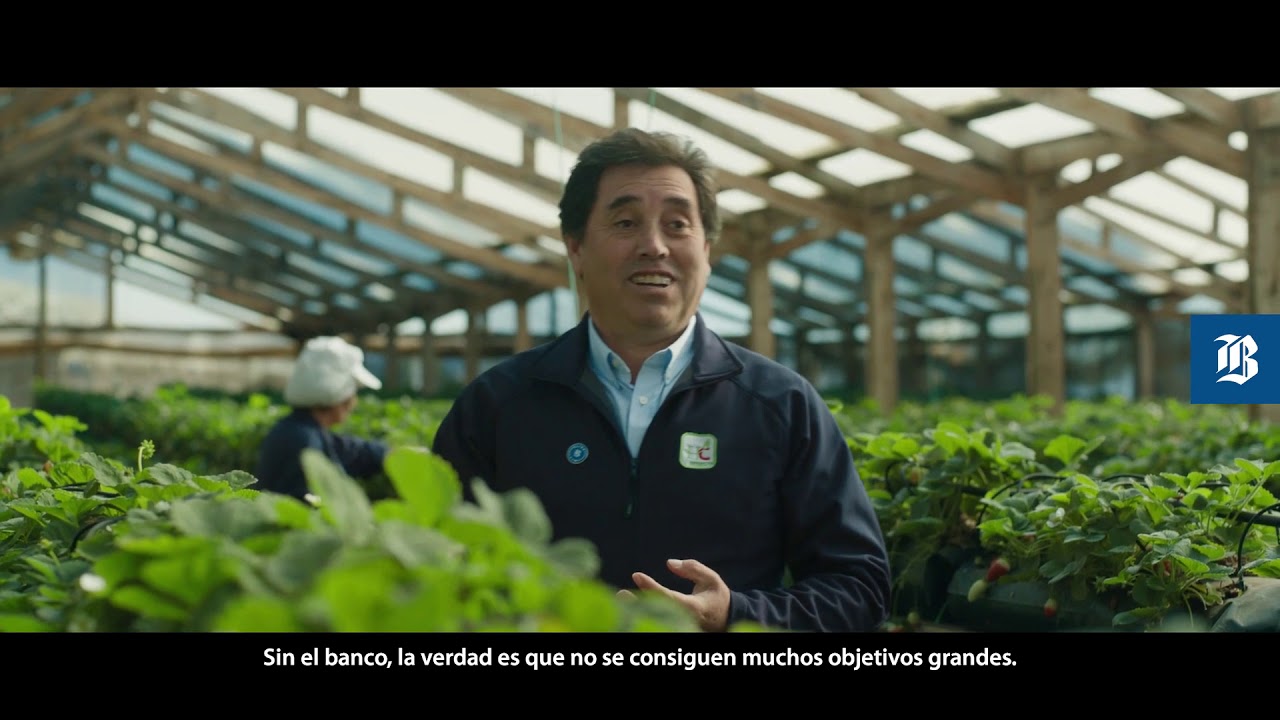 Huertos Chile - Entrevista | Elige PYME - Banco de Chile