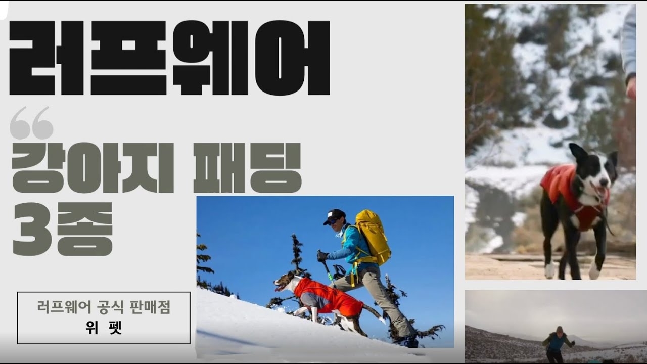 최강한파 온다는데 우리 댕댕이는 뭘 입힐까 | 러프웨어 패딩 3종 비교분석 | 구매링크는 아래 설명에서 | 사이즈 문의환영 | 강아지패딩 | ruffwear