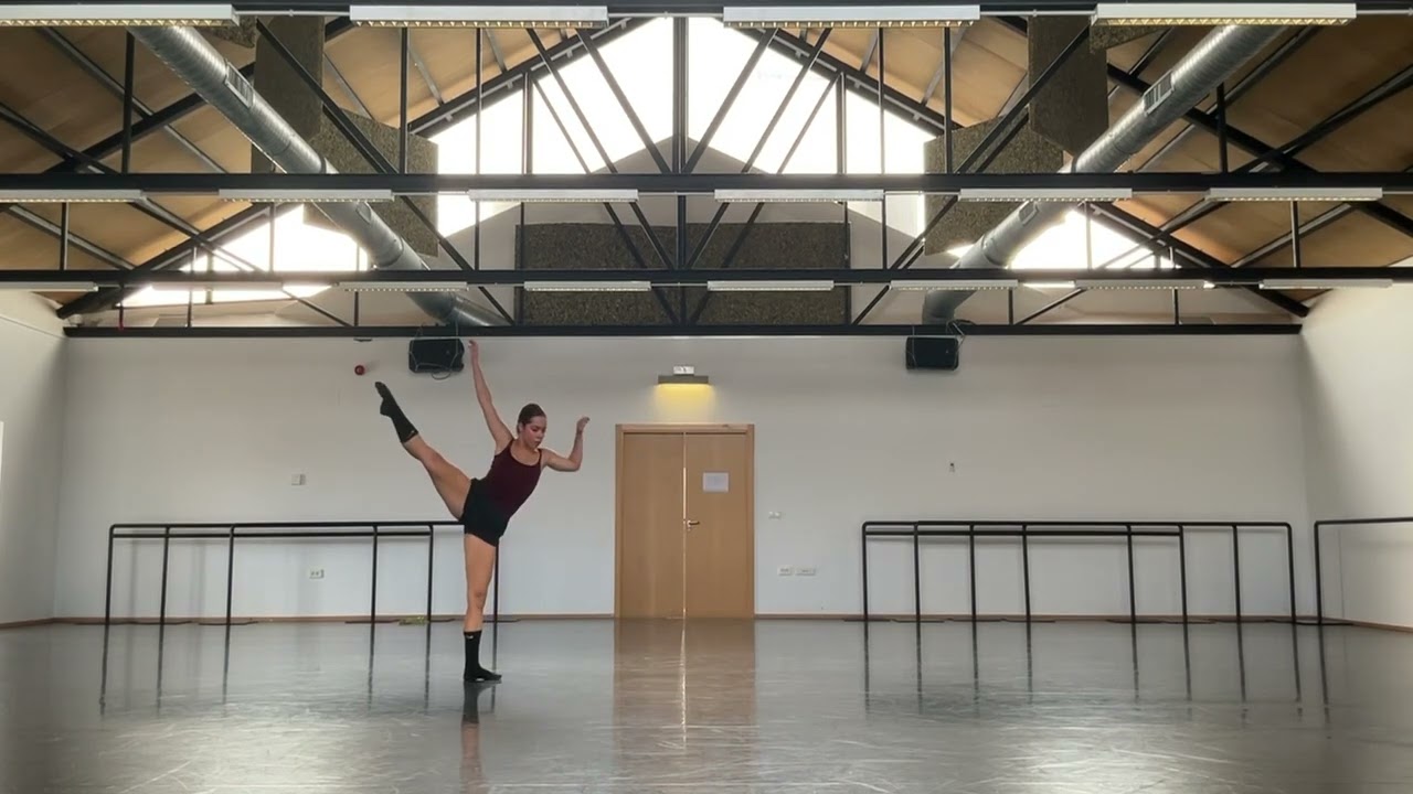 NDT2 Audition Noga Feld  24/25
