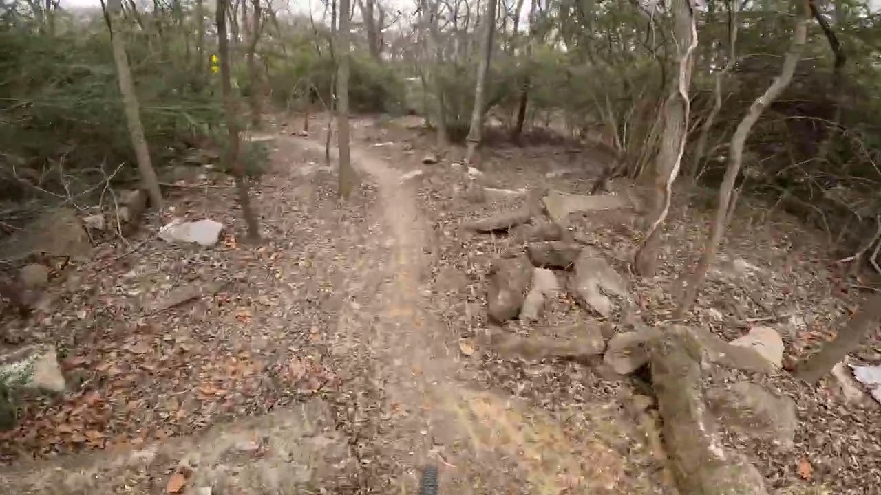 Short and Sweet, Trying to Jump at Creekside Park