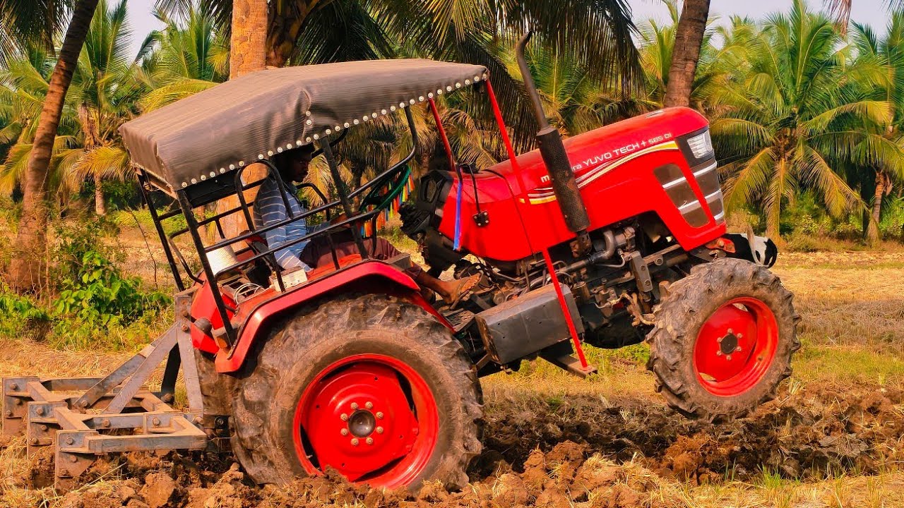 Mahindra yuvo tech Plus 585 di 4wd tractor Goes to 5 point cultivator performance in riceland...