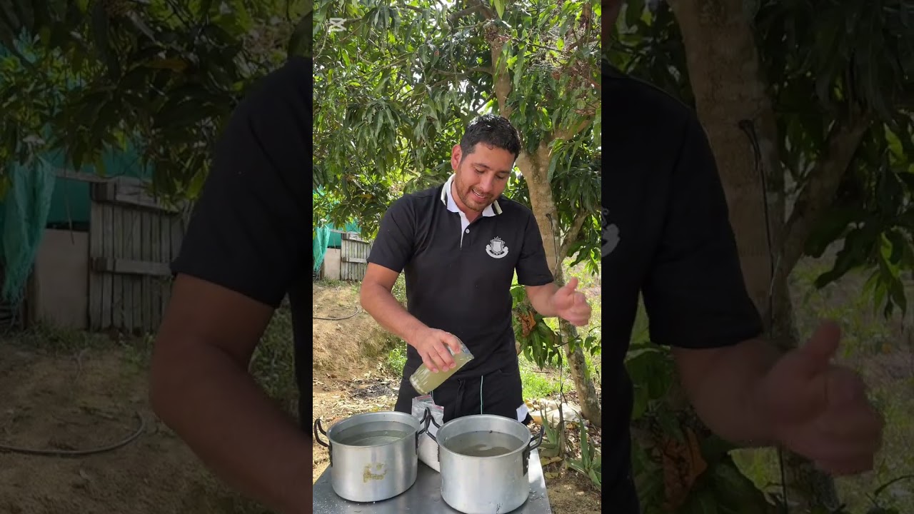 Agua limpia = pollos sanos 