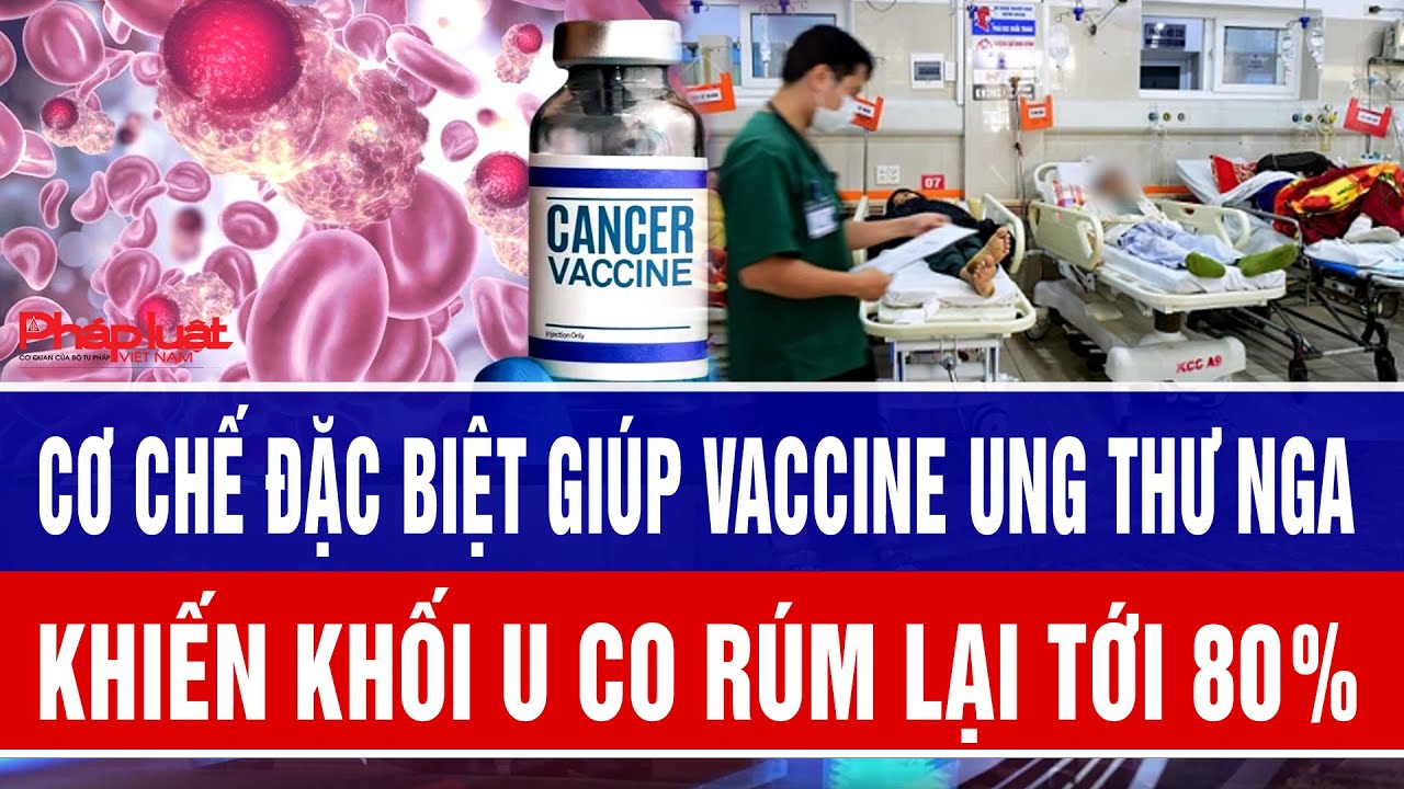 Cơ chế đặc biệt giúp vaccine ung thư Nga khiến khối u “co rúm” lại tới 80%