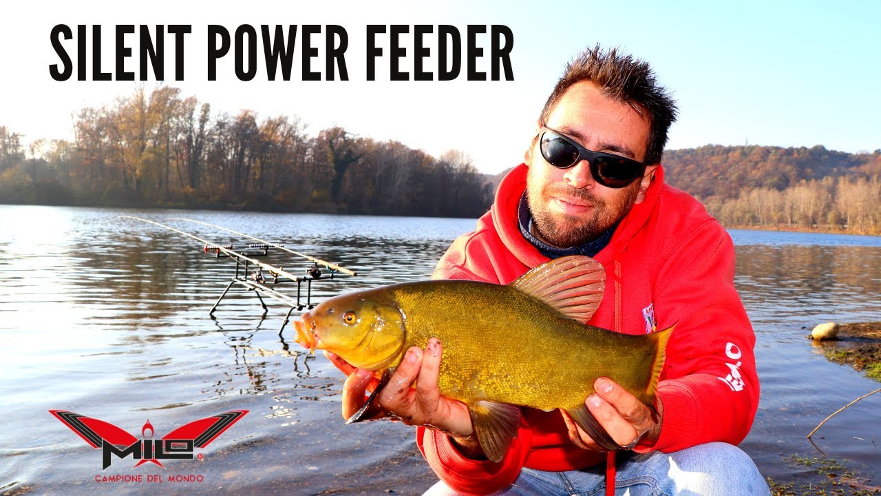 MILO FEEDER COLLECTION - La nuova Silent Power Feeder da Fiume