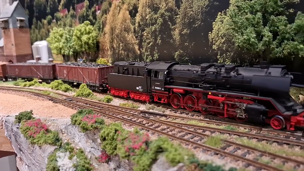 BR 50 Roco  ist heute mal unterwegs 