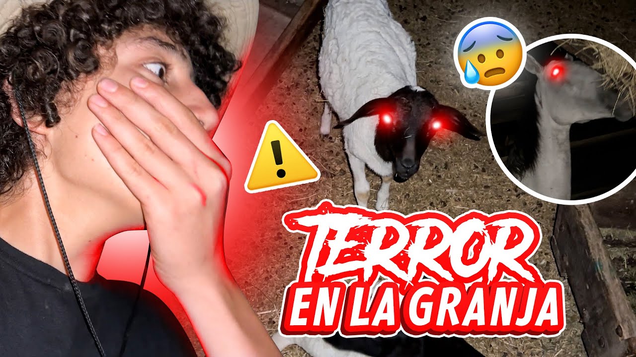 SOBREVIV&Iacute; UNA NOCHE EN OTRA GRANJA @ParquePanaca  | LA GRANJA DEL BORREGO