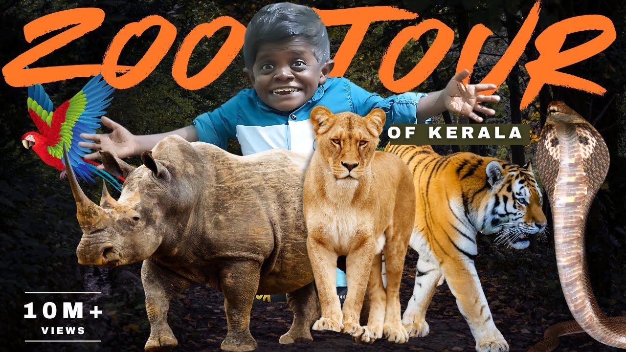 குட்டி புலி விலங்குகளிடம் செய்யும் அலப்பறை | Kerala Zoo Tour | KUTTI PULI NANBAN