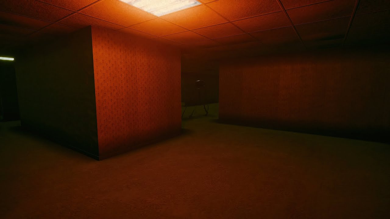 We Got Stuck Inside the Backrooms
