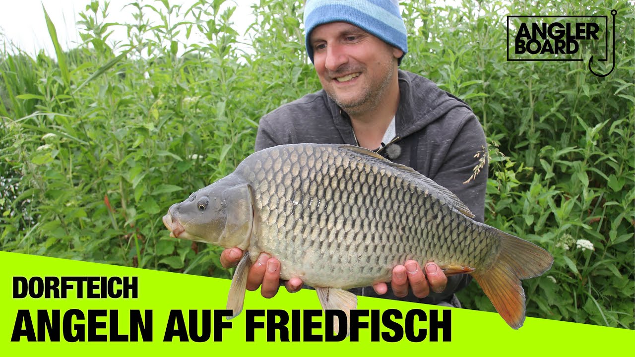 Angeln am Dorfteich | Friedfisch und Aal mit Match- und Grundrute | Anglerboard TV