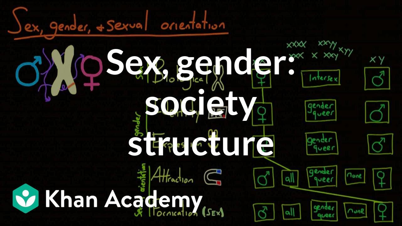 Demographic structure of society - sex, gender, and sexual orientation | MCAT | Khan Academy