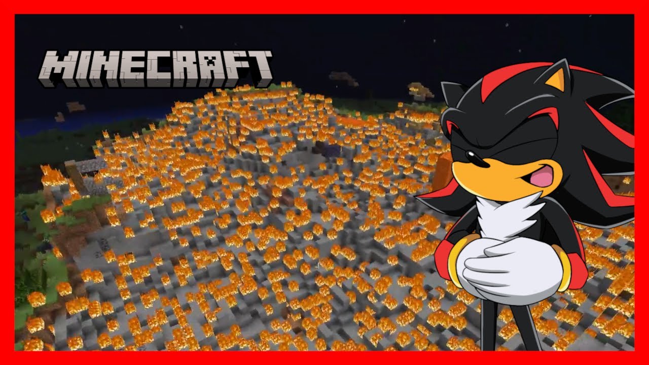 Shadow has way too much fun with explosives...